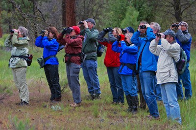 Things To Do Bird Walks & Hikes