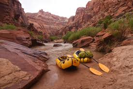 Thing To Do Tours & Rentals